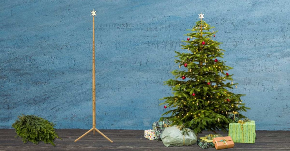Der erste echte Weihnachtsbaum, der keiner ist und die Umwelt schont
