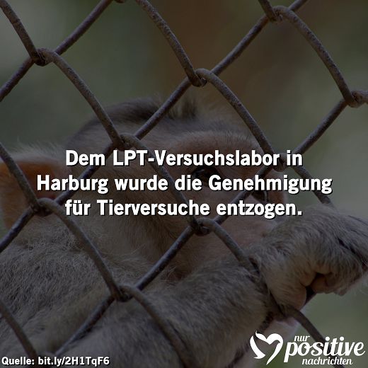 Positive Nachrichten - Gute Nachrichten Machen Glücklich