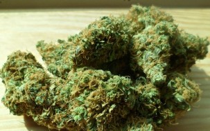 Cannabis für medizinische Zwecke legalisiert 